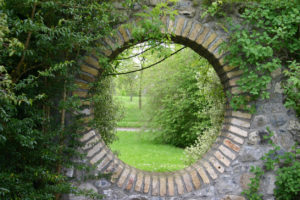 Peeking into a walled garden